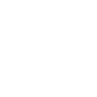 LinkedIn icon