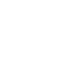 Twitter icon